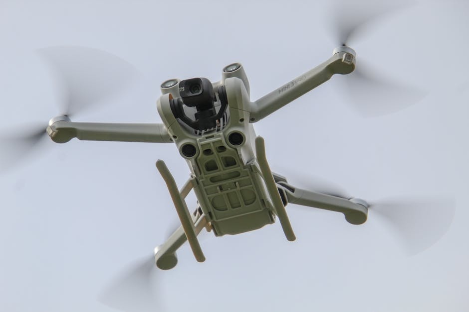 Imagen antes de la transformación